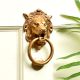 Brass Lion Face Door Knocker